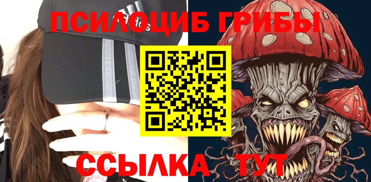 Галлюциногенные грибы MAGIC MUSHROOMS  Вход с VPN  Узловая  Псилоцибиновые грибы прущие грибы 